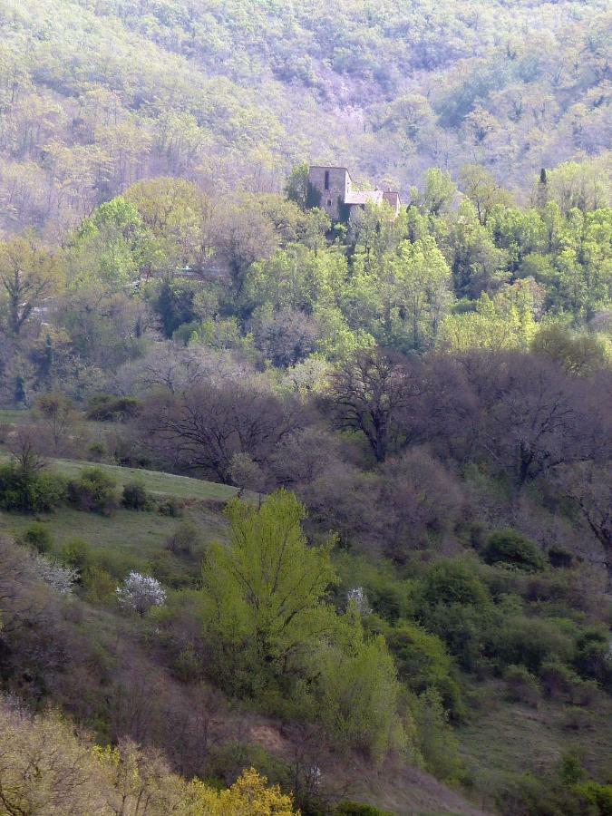 Appartamento Torre di Pornello Esterno foto